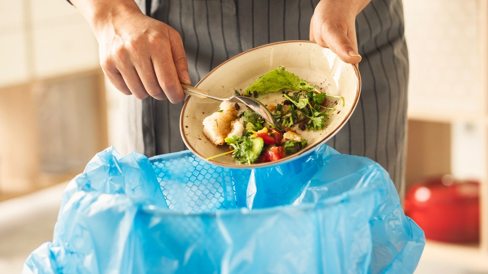 food being scraped into bin from plate