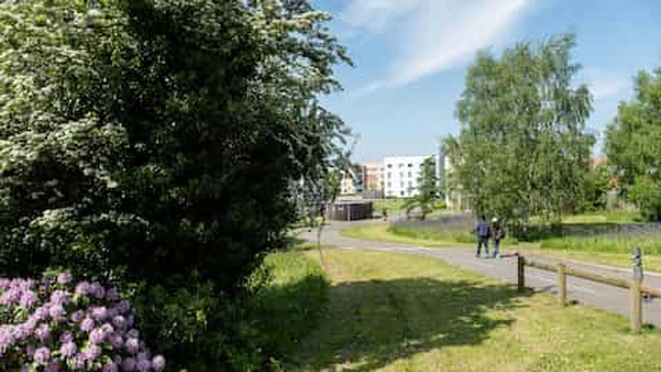 Grass, trees, shrubbery and a path. Robert Bakewell hall is in the distance.
