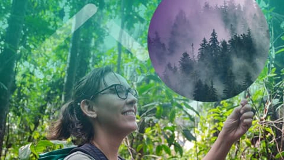 A graphic depicting a woman in a forest examining a tree.