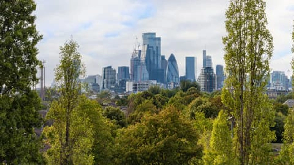 The skyline of London rising above a thick canopy of trees.
