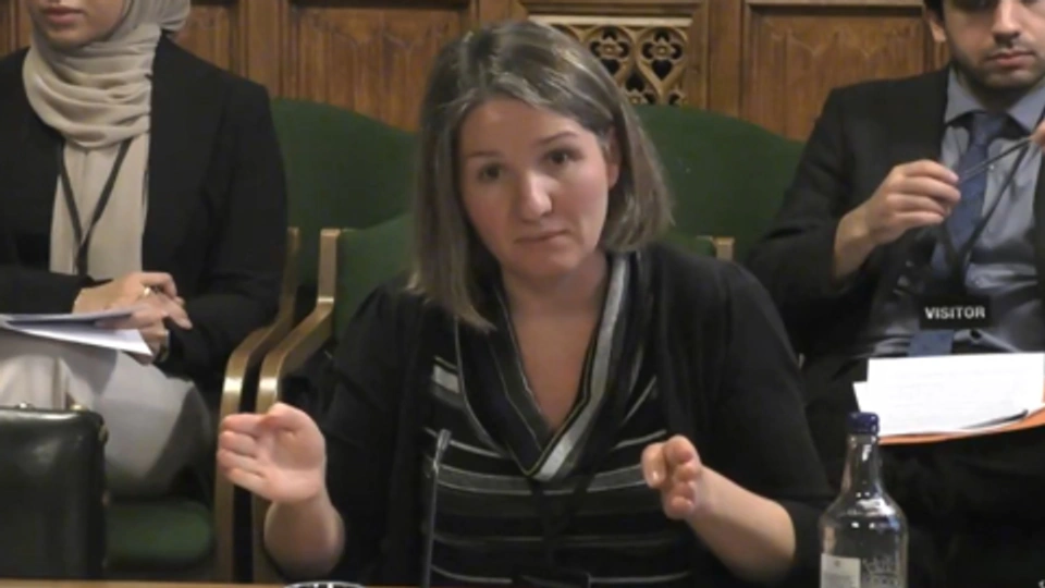 Emilene Zitkus giving evidence