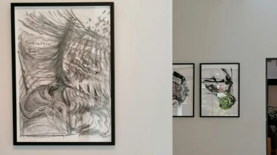 Sam Metz 'stimming' artwork in government gallery