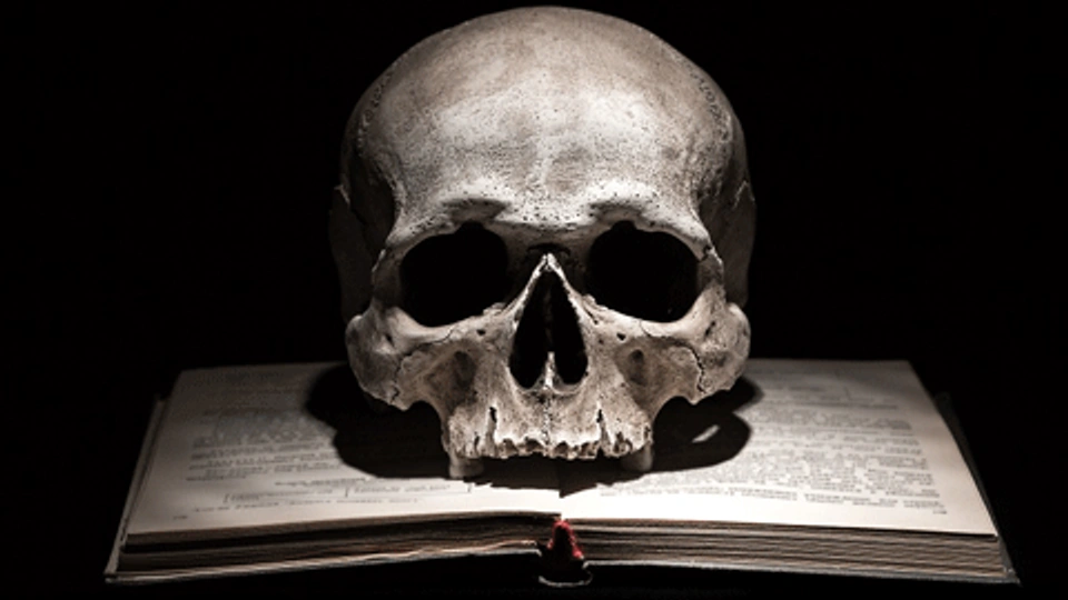 a human skull resting on an open book