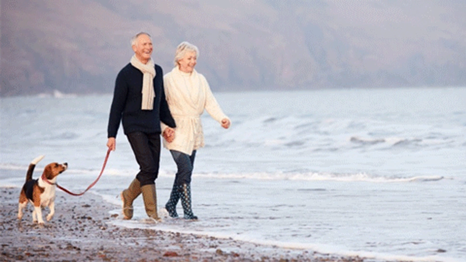 A couple walking a dog on a beach