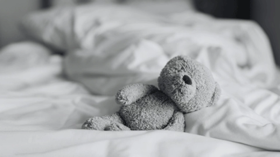 black and white photo of a teddy bear