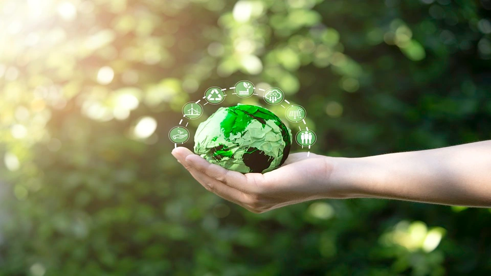A hand holding a green ball symbolising the environment.