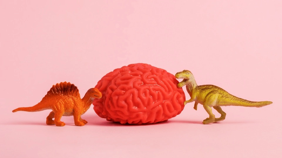 Two plastic dinosaurs next to a fake pink brain against a light pink background