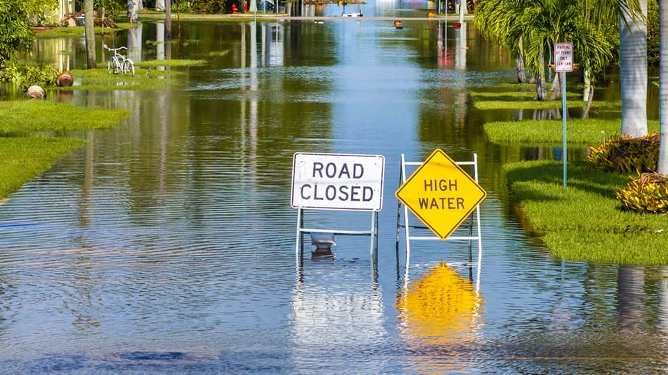 A flooded road with two road signs