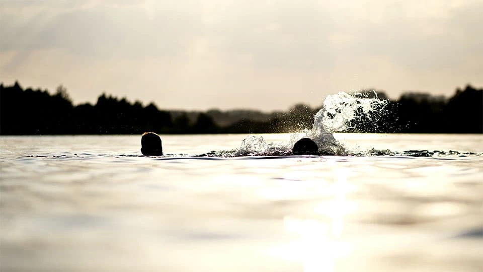 A silhouette of two people swimming in a lake
