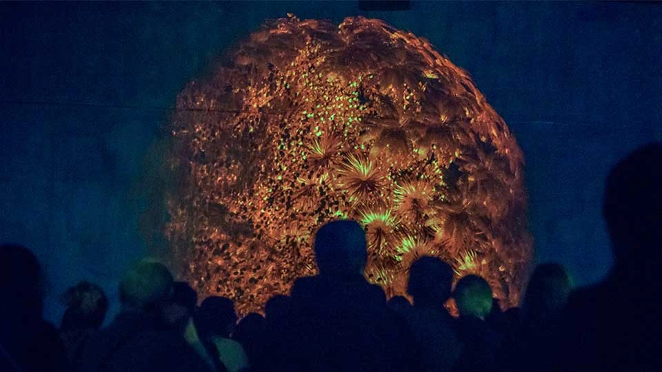 Silhouetted crowd watching a large glowing sphere with intricate, flower-like patterns in warm orange and green light against a dark background.