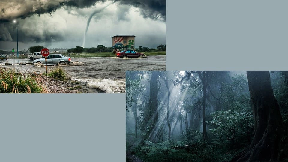 Landscape of a natural disaster with tornado and floods alongside a separate landscape of a rainforest