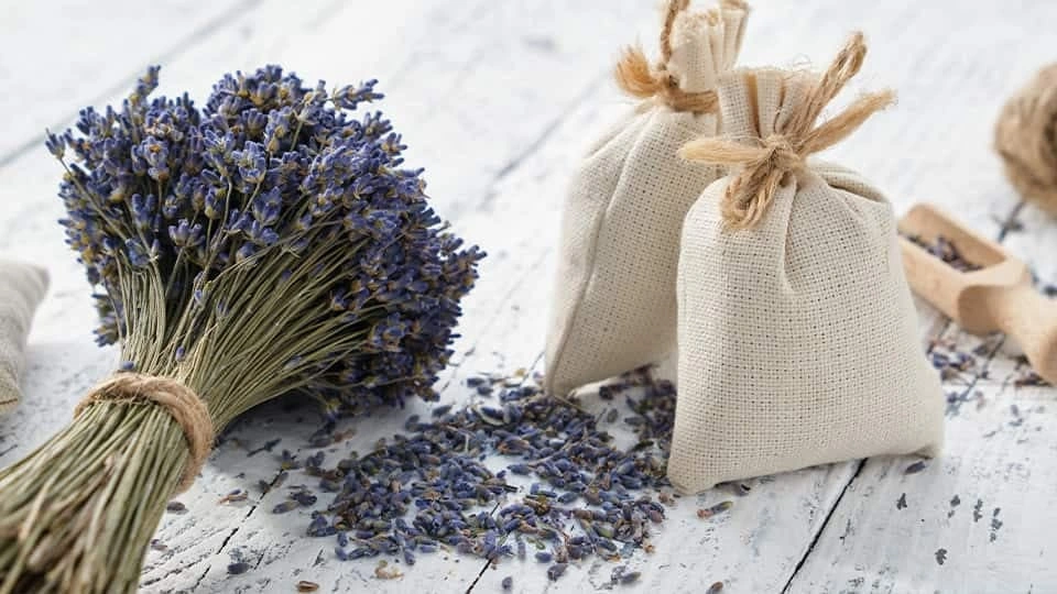 Lavender next to lavender bags