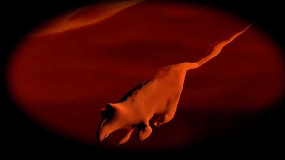 Abstract digital artwork of a rodent or animal with a vignette frame