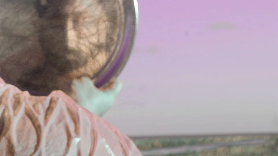 Person viewed from behind holding a circular object against a soft pink and purple sky backdrop.