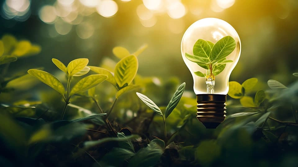 A lightbulb with a seedling growing inside, surrounded by greenery