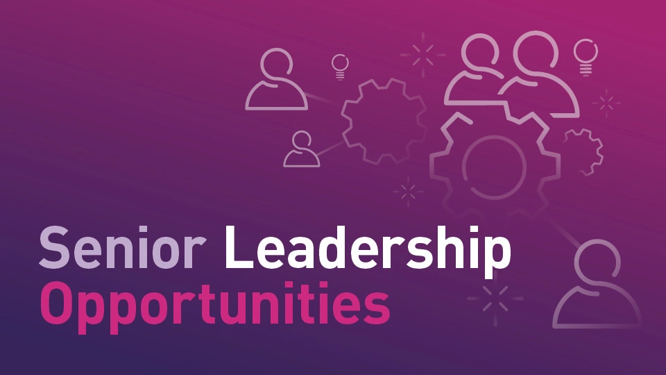 Pink and purple graphic banner with the words 'Senior Leadership Opportunities' 