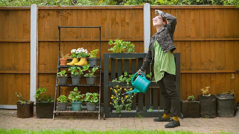 A gardener looking confused up at the sky whilst watering plants