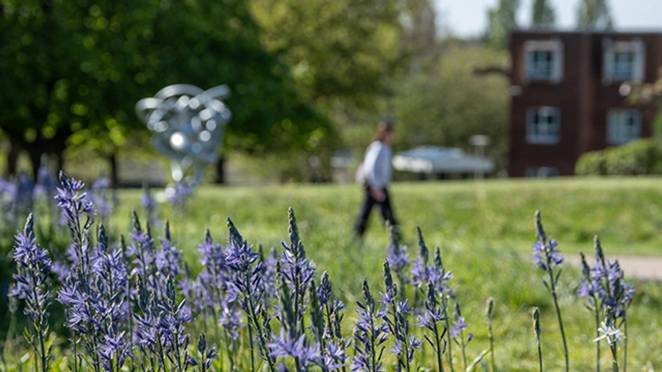 a picture of campus in spring