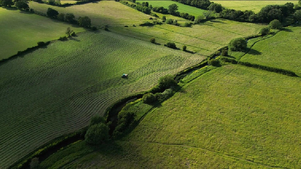 An aerial image of rural land intersected by numerous hedges